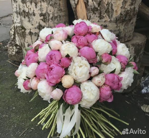 Пионы цветы букеты