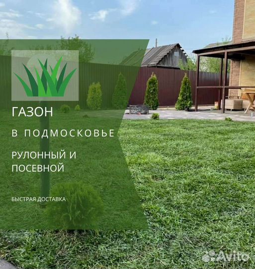 Рулонный газон