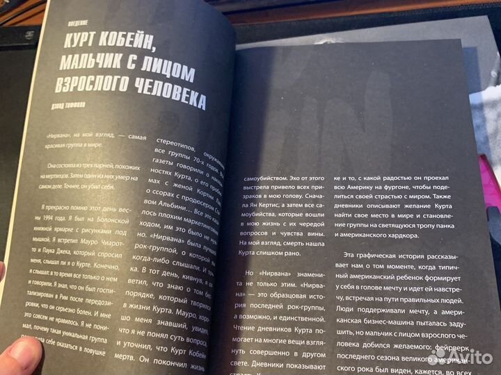 Книга Nirvana иллюстрированная история группы