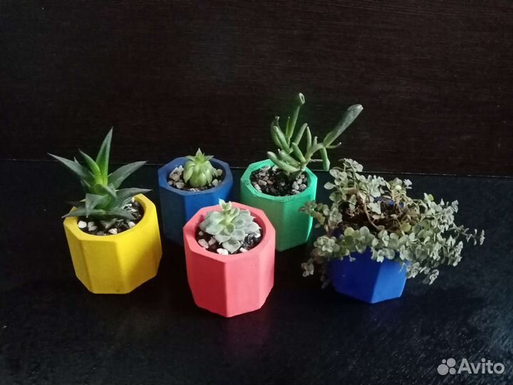 Кашпо, горшок под цветы (высота 5 см)