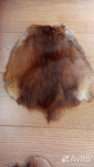 Шкурка ондатры