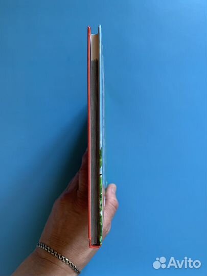 Красная книга. Детская энциклопедия 