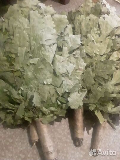 Дубовый Веник,береза,липа