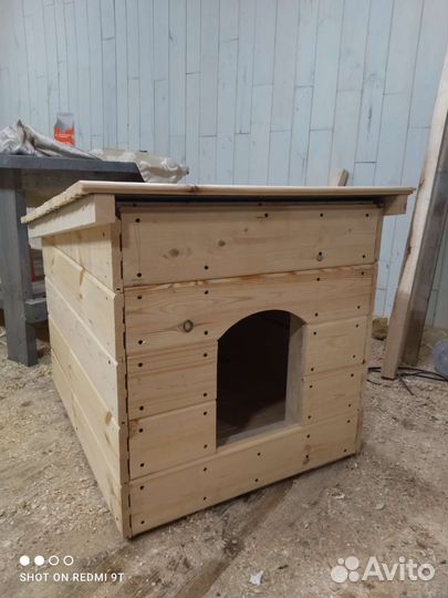 Собачья будка