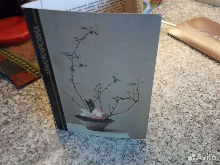 Фотокарточки гербарий,составление композиций