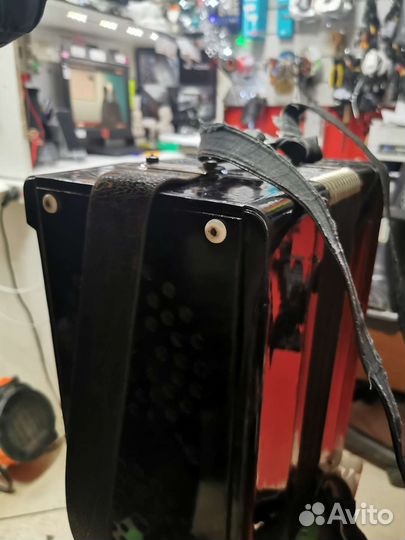 Баян тульский