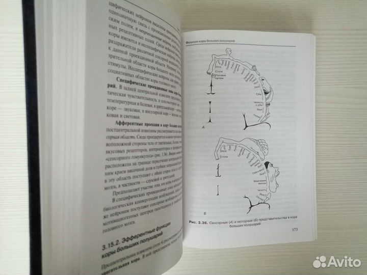 Нормальная физиология (2006г.) / К. Судаков