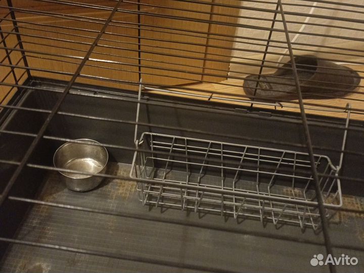 Клетка для грызунов бу