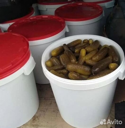 Огурцы соленые бочковые домашние