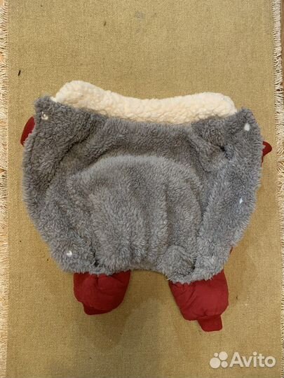 Одежда для маленьких собак