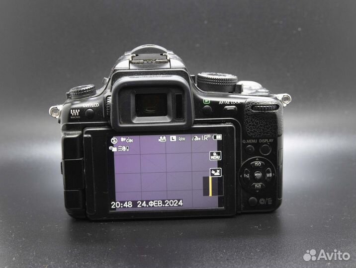 Panasonic lumix gh2