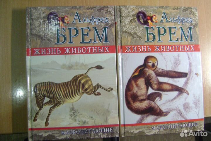 Продаю книги