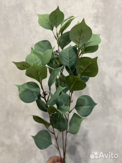 Декоративная листва