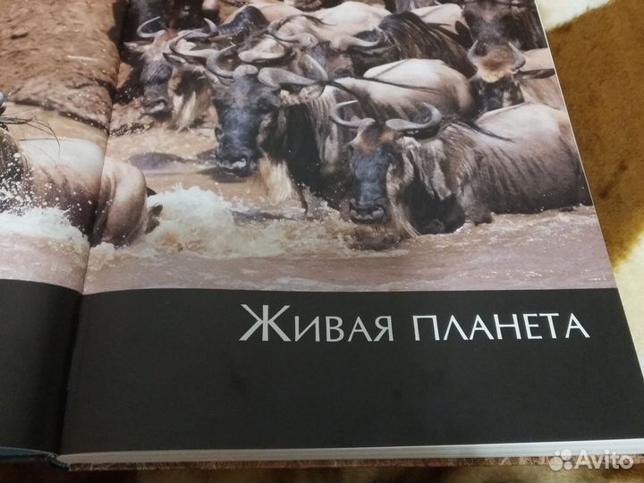 Познавательна книга для детей 5 лет