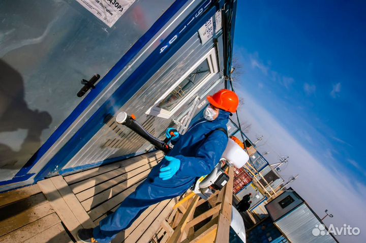 Уничтожение клопов,тараканов,крыс,блох,грибка