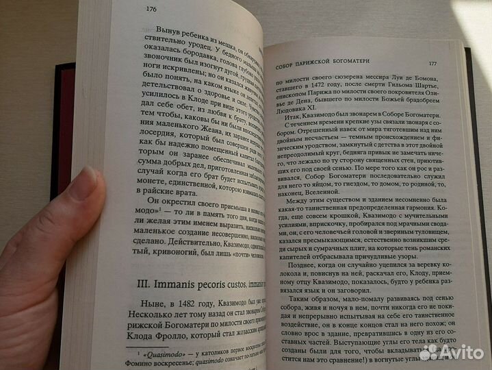 Собор парижской богоматери виктор гюго