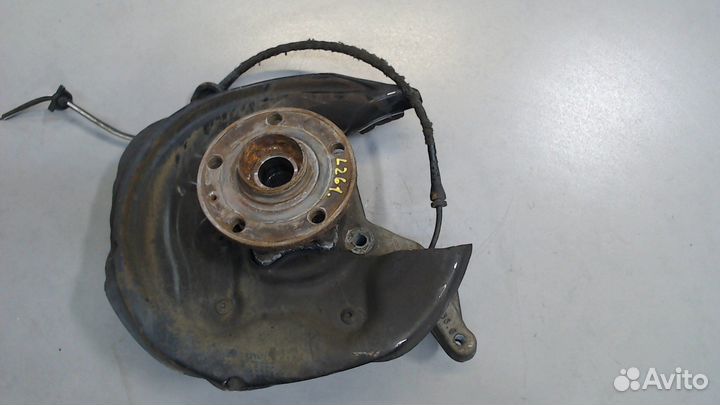 Ступица (кулак, цапфа) Volkswagen Tiguan, 2013