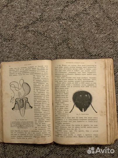 Атиквар.книга 1910г Кунахович Пчела и пчеловодство