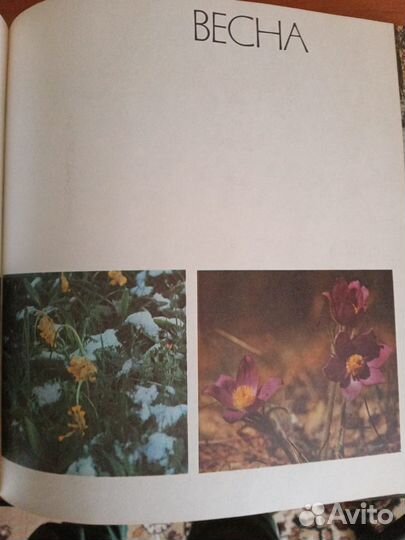 Фотоальбом 