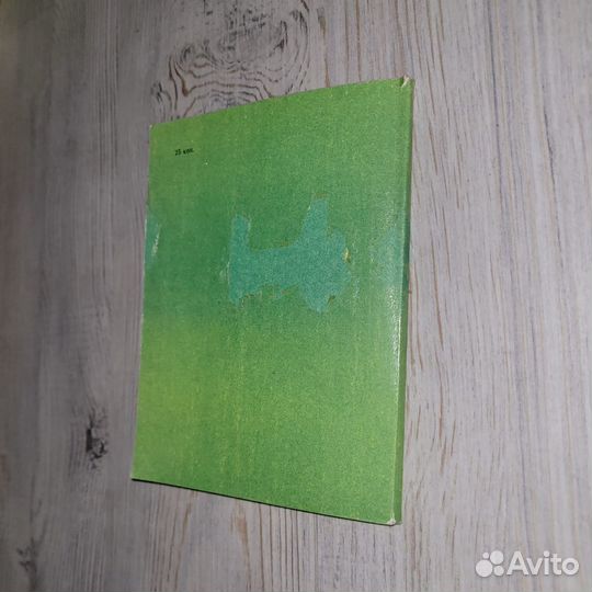 Окуловка. Города Новгородской области. Автономов