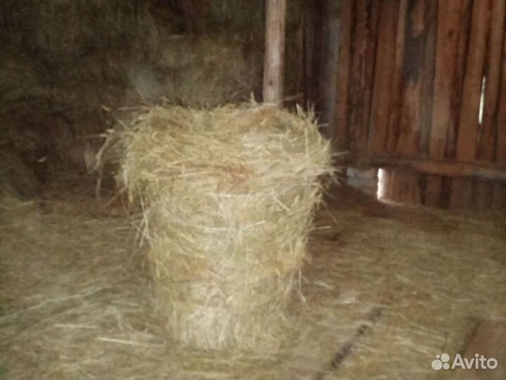 Сено в тюках