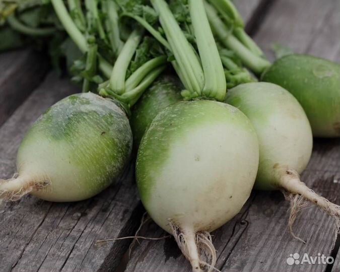 Семена овощей