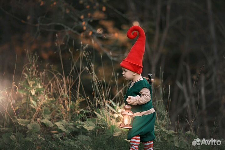 Пошив костюмов новогодних, для фотосессий