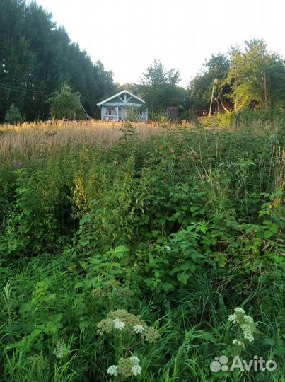 Покос травы триммером
