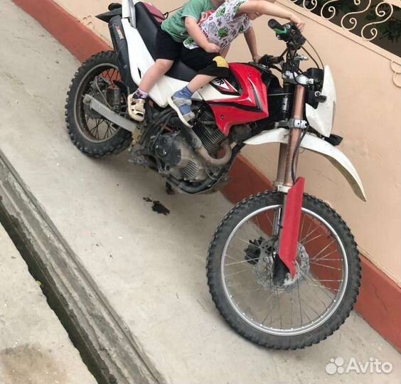 Ирбис ttr250