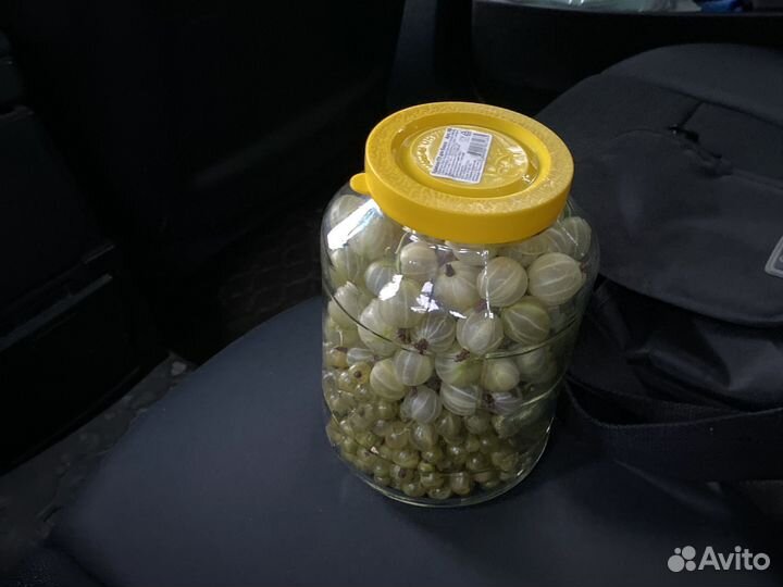 Банка крыжовника и зелёной смородины