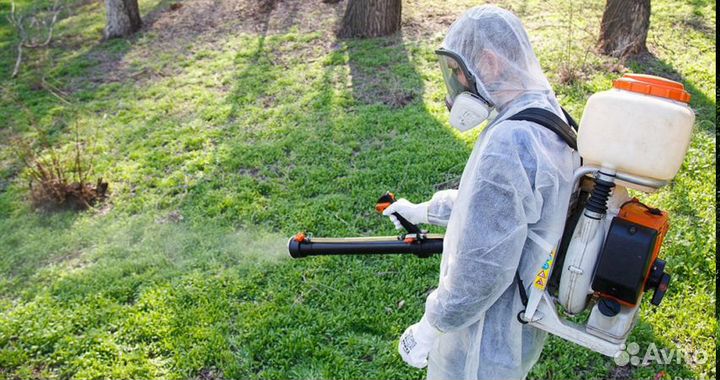 Уничтожение клещей, кротов, ос, тараканов и клопов