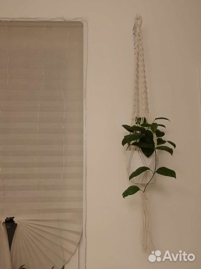 Кашпо для цветов. Макраме