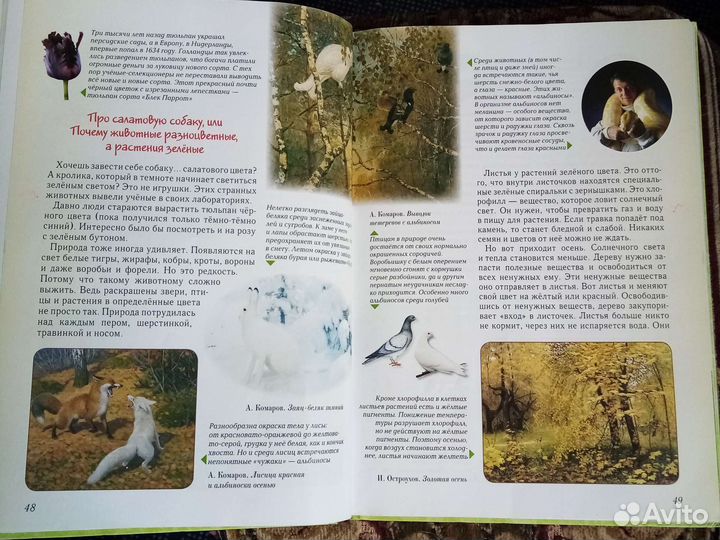 Детская энциклопедия биология и мумии и пирамиды