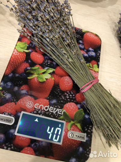 Лаванда сухоцвет