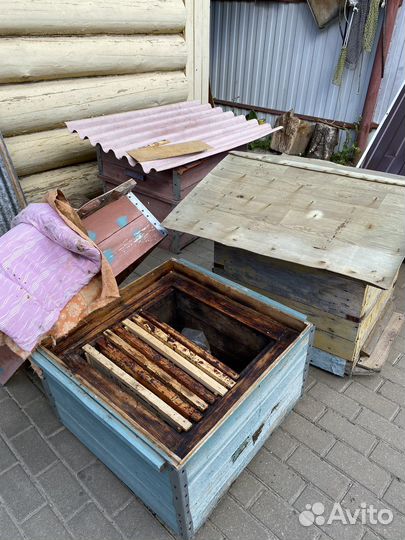 Продам ульи для пчел
