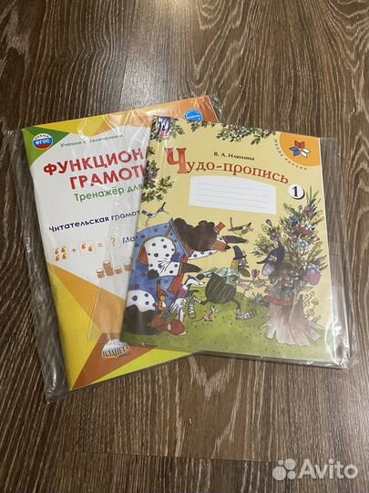 Пропись + Функциональная грамотность 1 класс