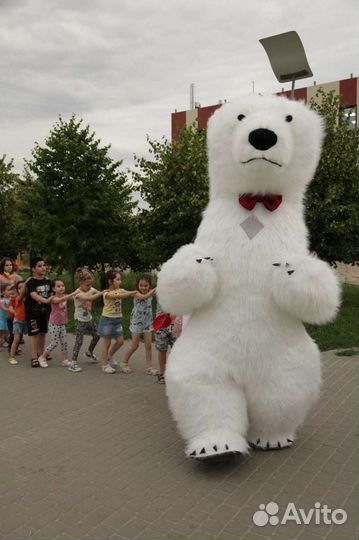 Поздравление от большого белого медведя Фили