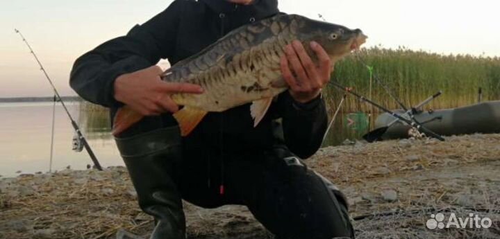 Крючки рыболовные хириси Hirisi с бородкой