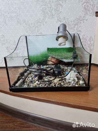 Террариум для черепахи