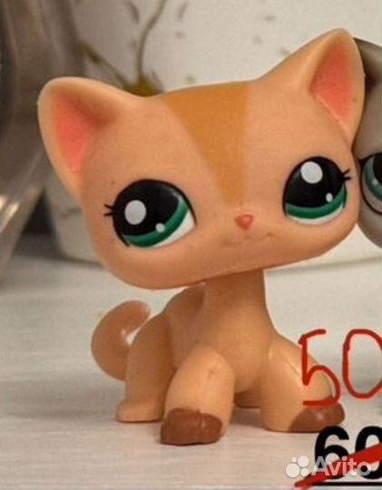 Лпс для заказа