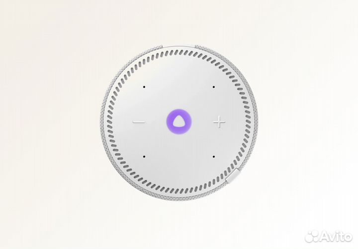 Умная колонка Яндекс.Станция Мини (Серая)