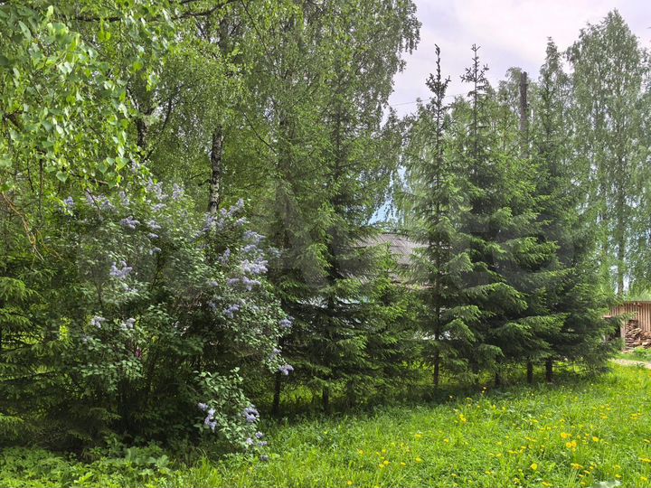 Дом 299,5 м² на участке 56,4 сот.