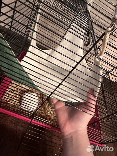 Клетка для грызунов большая