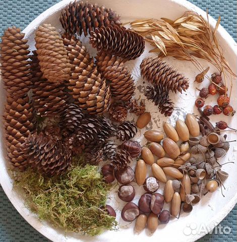 Природные материалы для поделок