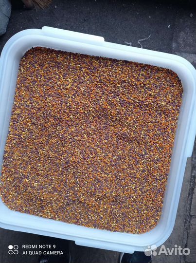 Пыльца пчелиная