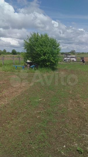 Участок 10 сот. (СНТ, ДНП)