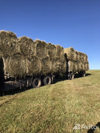 Сено с доставкой