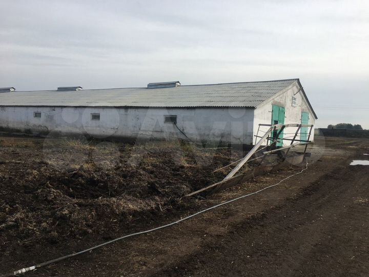 Производство, 1530.7 м²