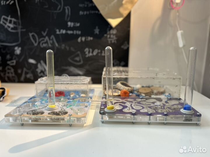 Муравьиные фермы