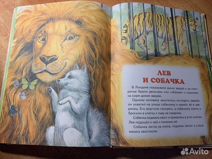 Книга для детей